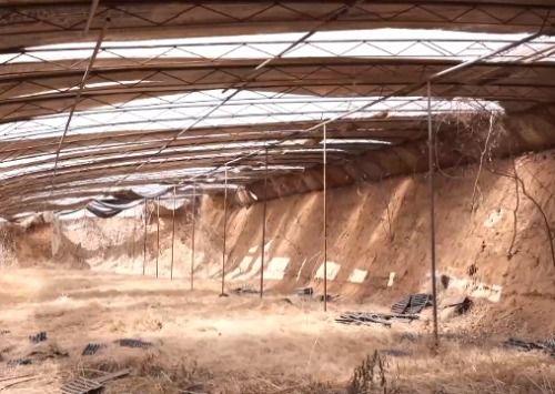 邯郸初中生杀人案最新爆料,惊人真相曝光，校园暴力背后的黑暗面  第3张