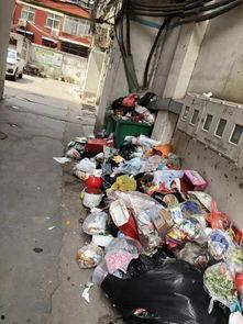 鲁山今日爆料最新消息,揭秘神秘事件真相！