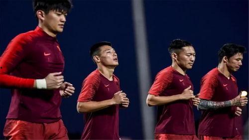 郑磊最新爆料视频在线观看,事件真相与幕后黑幕大起底